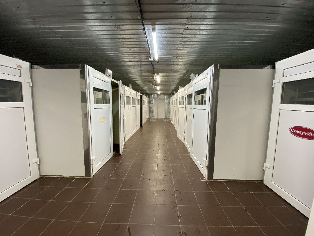 Шаховская, бизнес