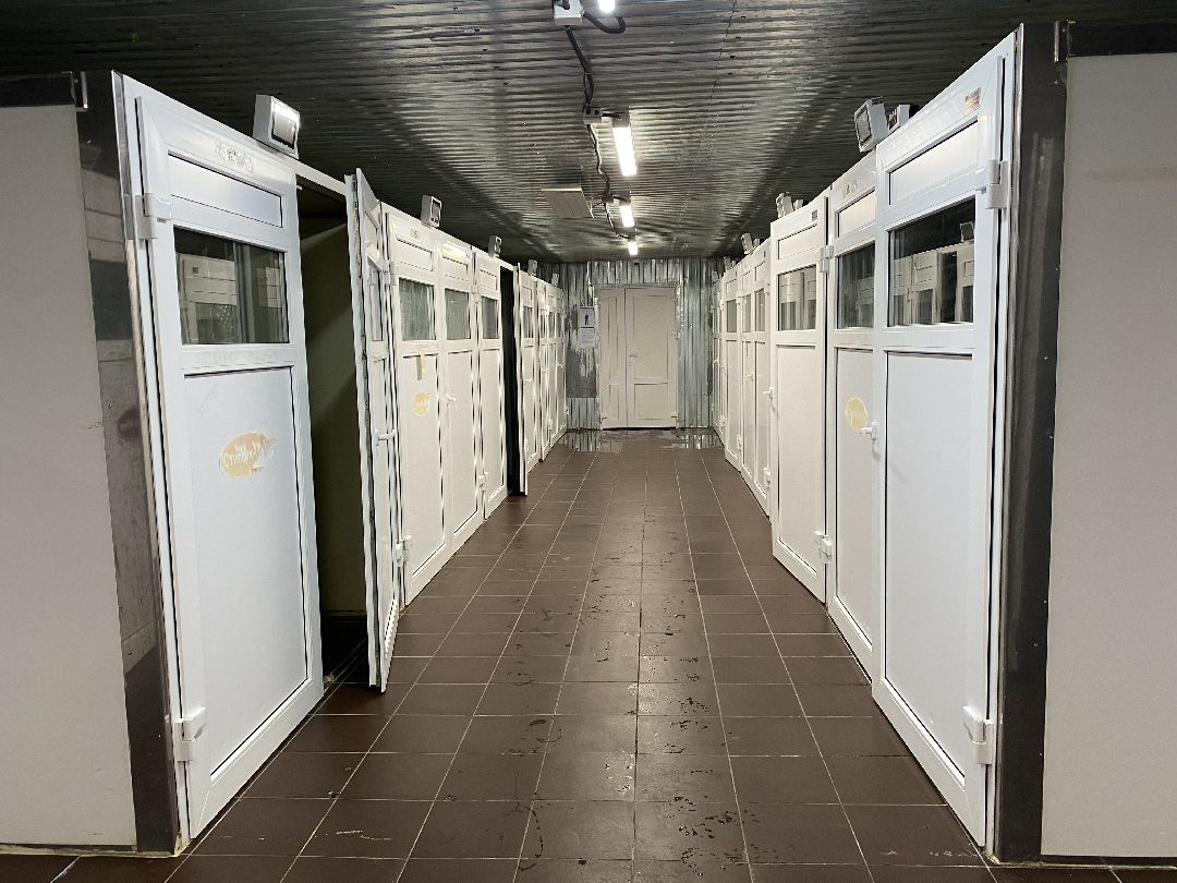 Шаховская, бизнес