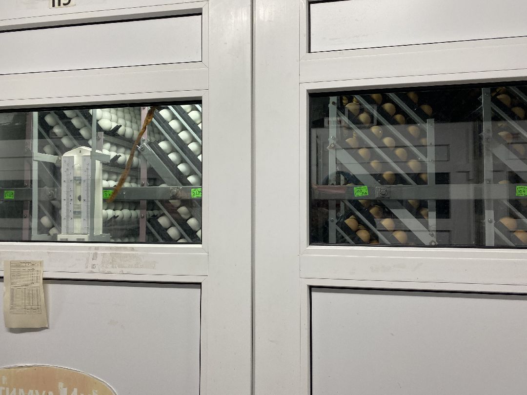 Шаховская, бизнес