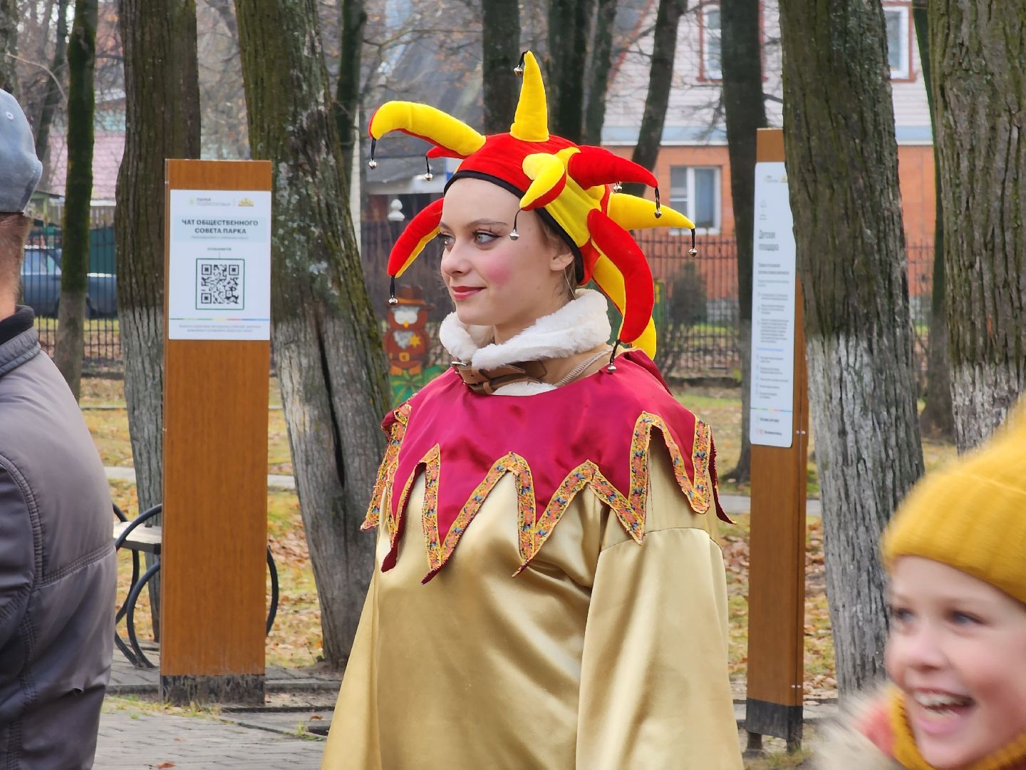 единство, день народного единства, пегас, Егорьевск, подмосковье, московская область,