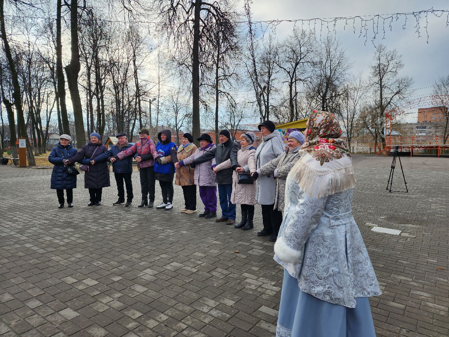 единство, день народного единства, пегас, Егорьевск, подмосковье, московская область,