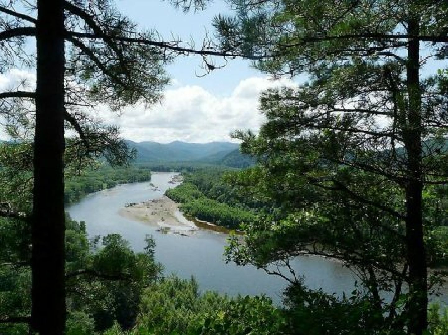 Звенигород, Культура народов, Все флаги в гости к нам,