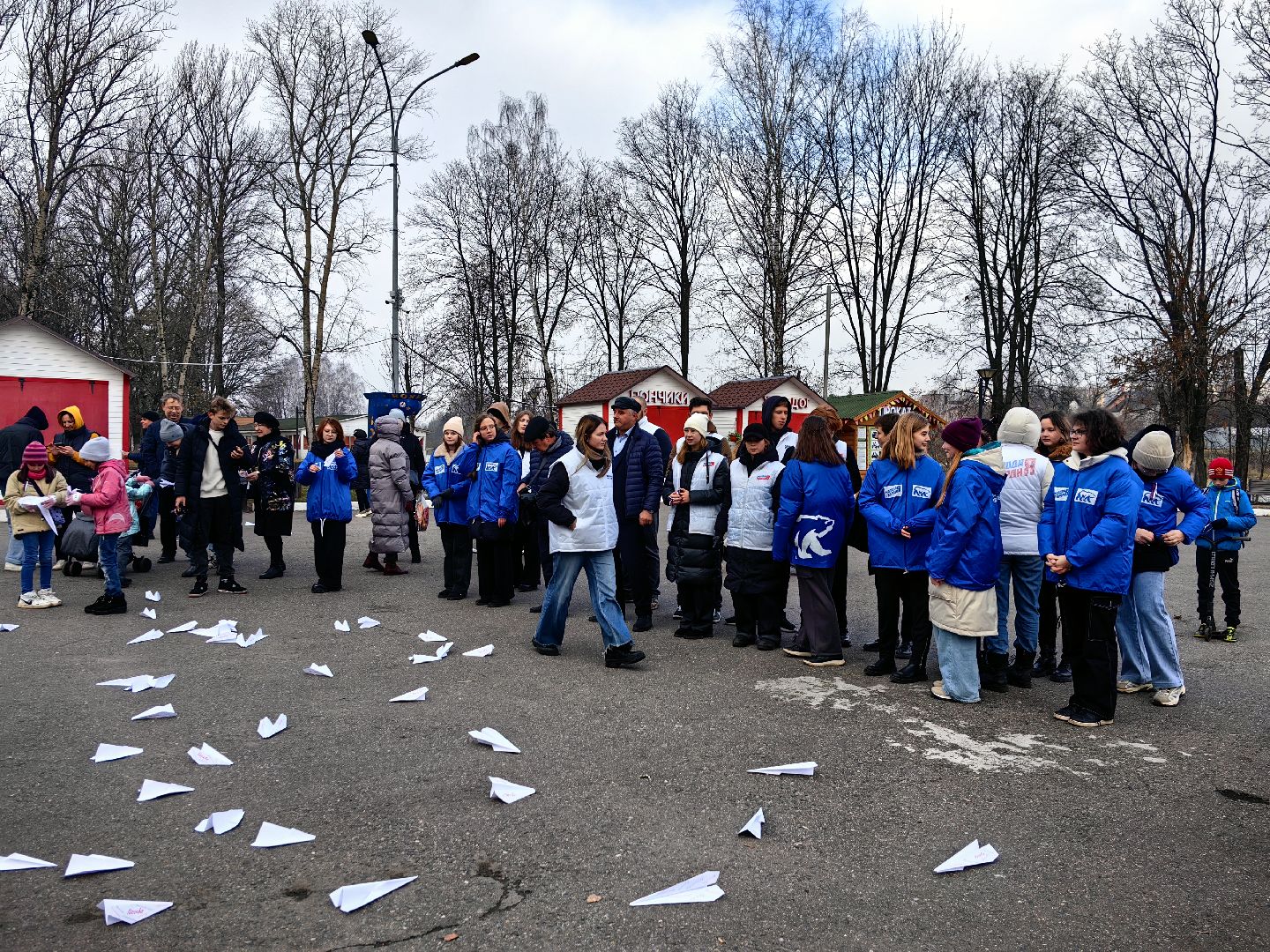 праздник, единство, парк, поздравления,