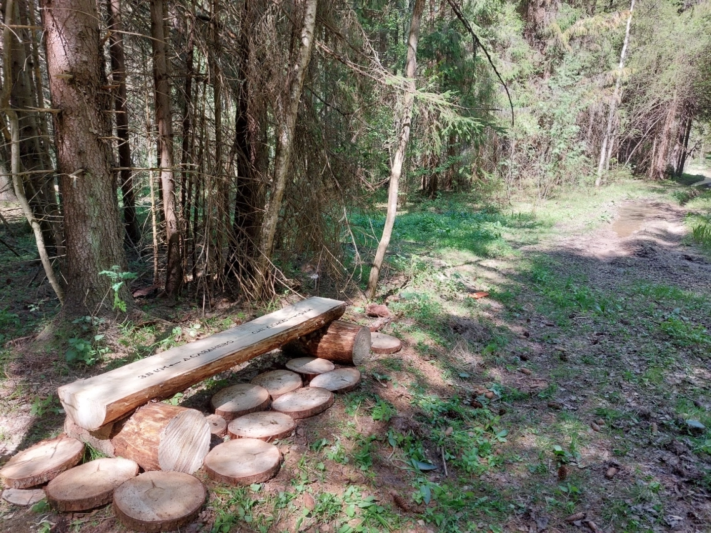 волоколамск, лесничий, мособллес, лавочки,