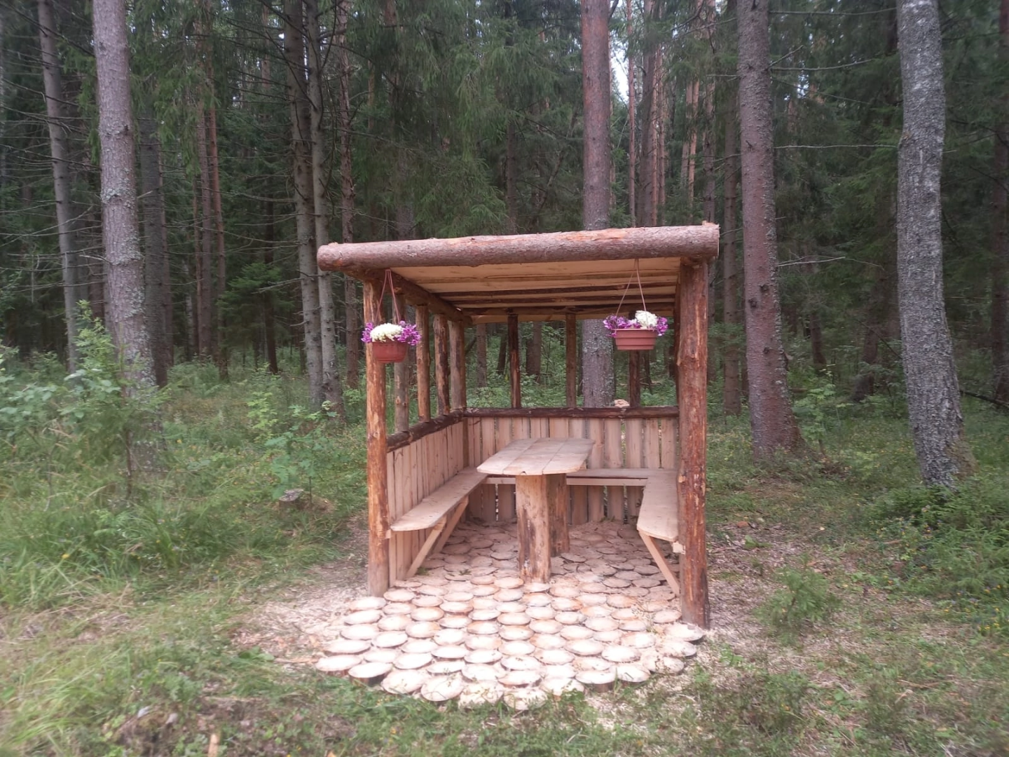 волоколамск, лесничий, мособллес, лавочки,