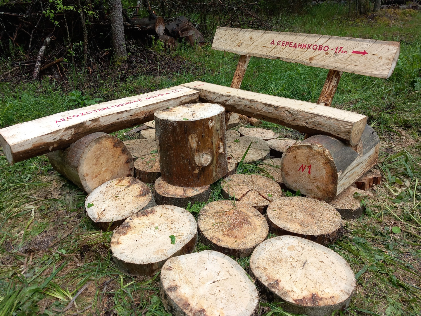 волоколамск, лесничий, мособллес, лавочки,