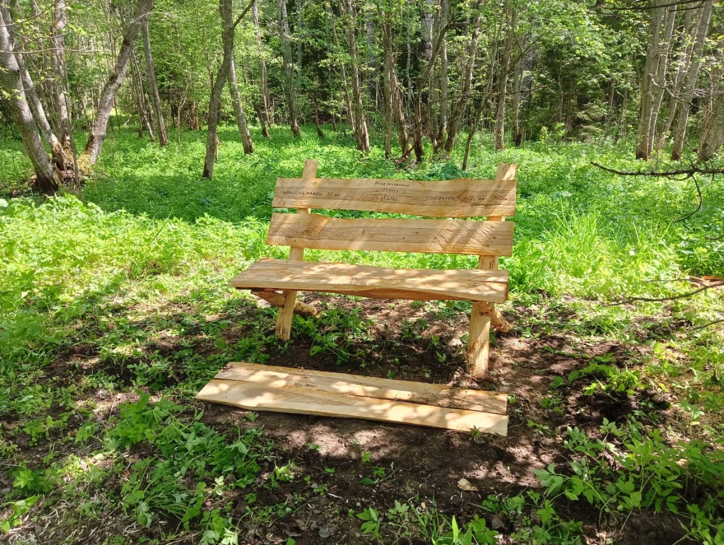 волоколамск, лесничий, мособллес, лавочки,