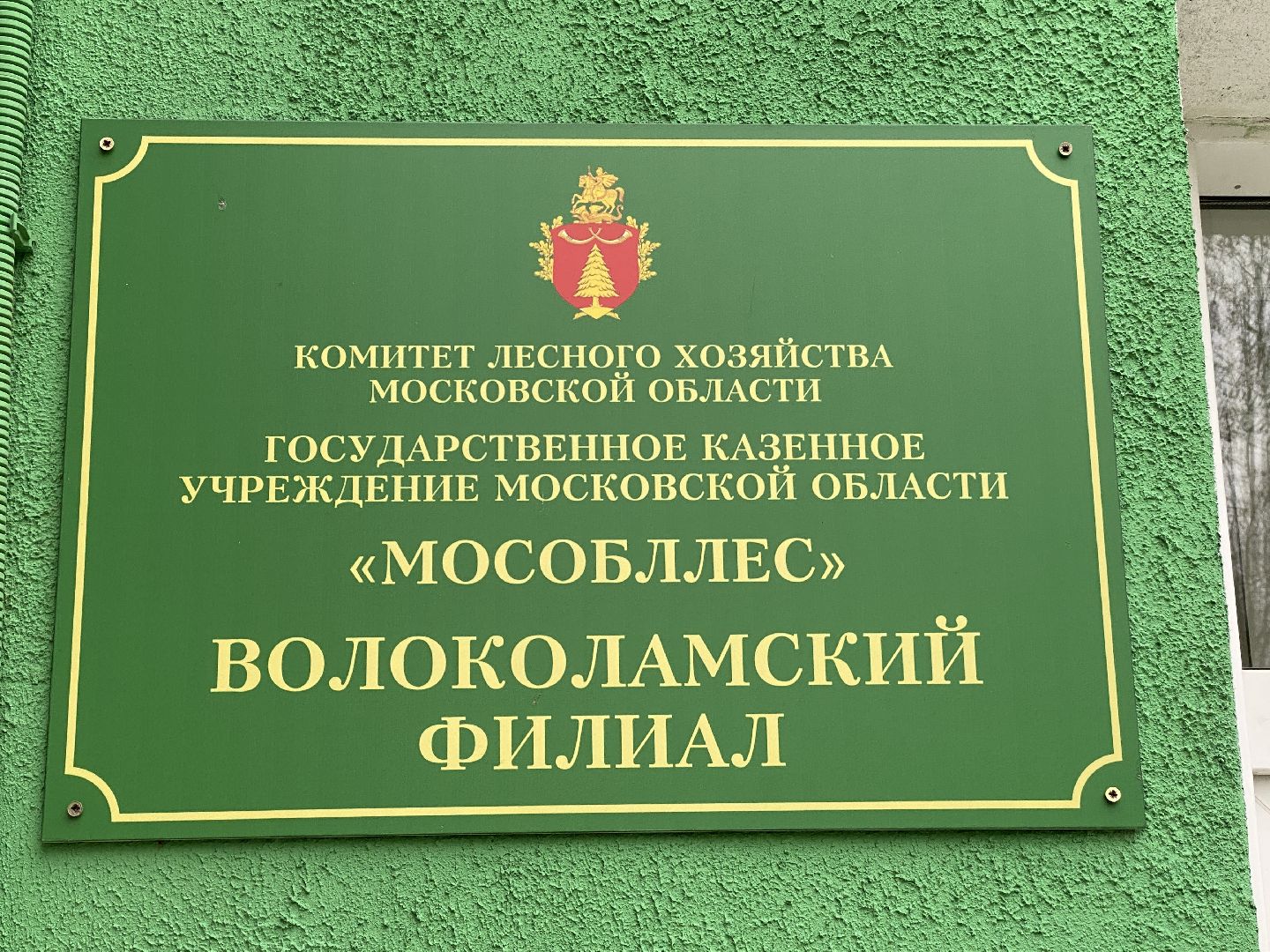 волоколамск, лесничий, мособллес, лавочки,