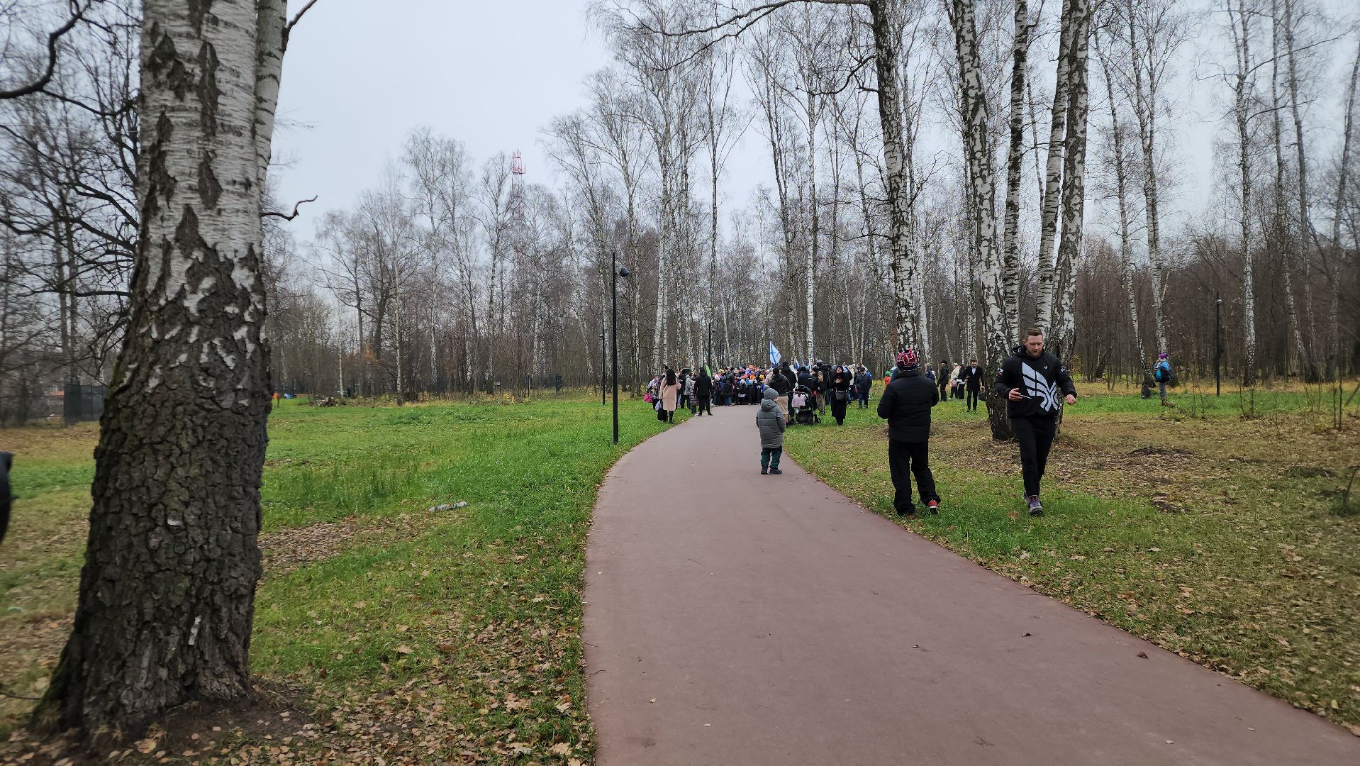 ступино, день народного единства, массовый забег,