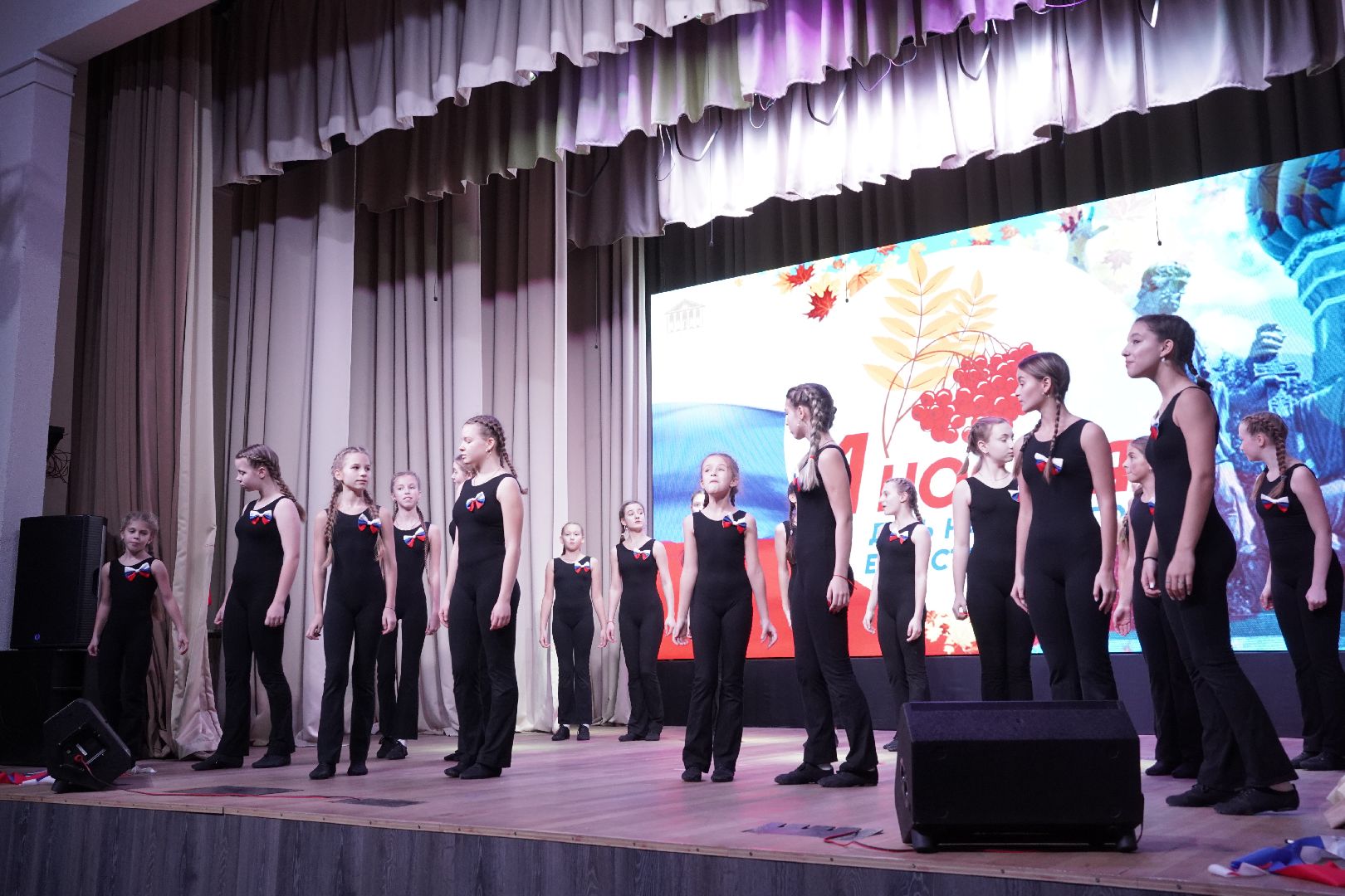 день народного единства, Рошаль, ДК Косякова, концерт, праздничный концерт,