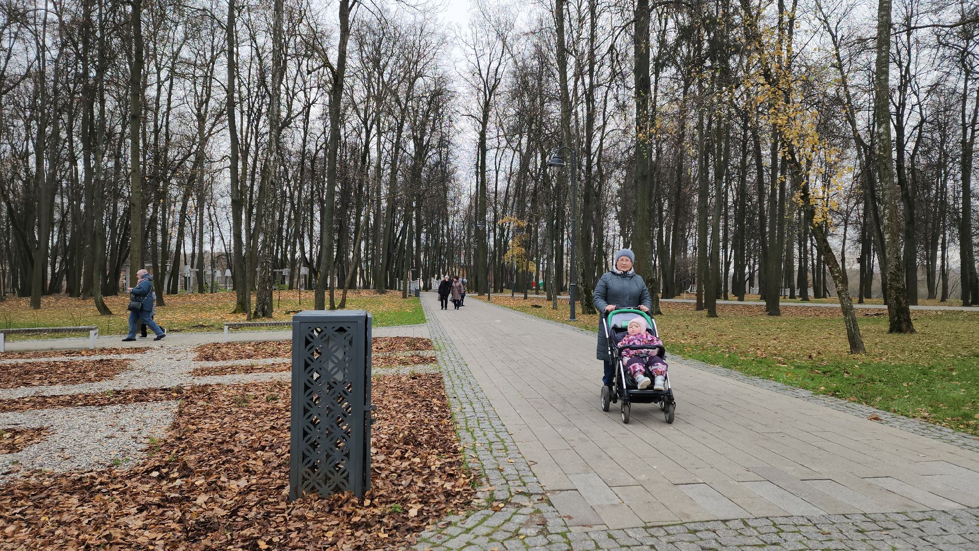воскресенск, день народного единства, усадьба кривякино, жители, праздник,