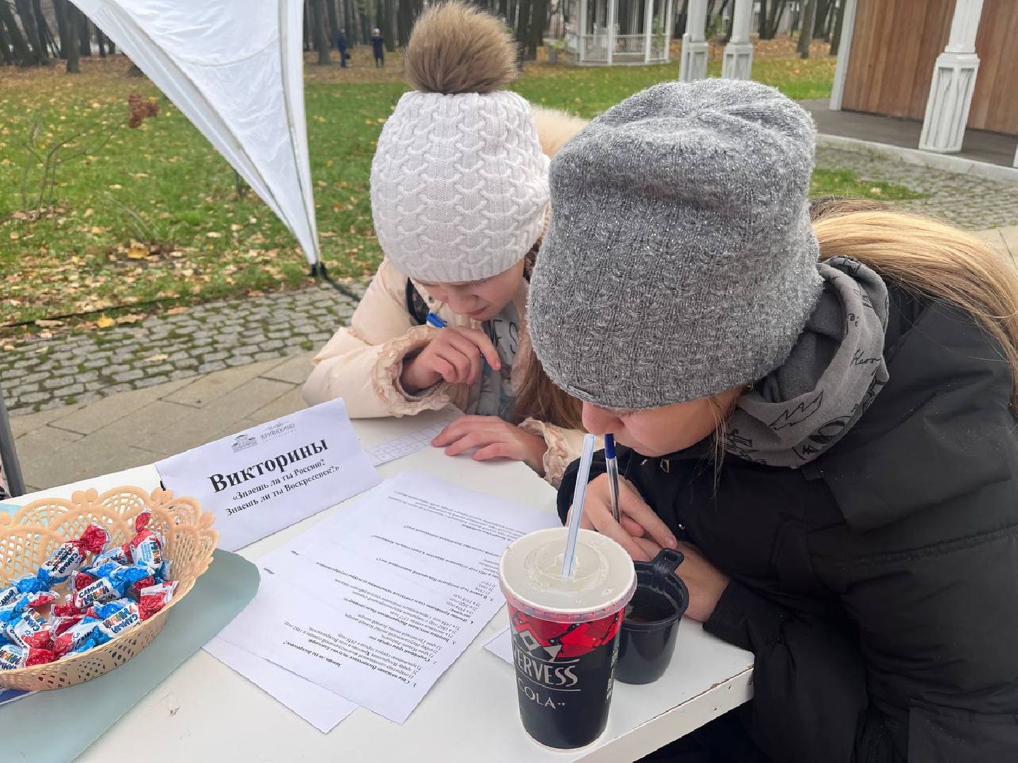 воскресенск, день народного единства, усадьба кривякино, жители, праздник,