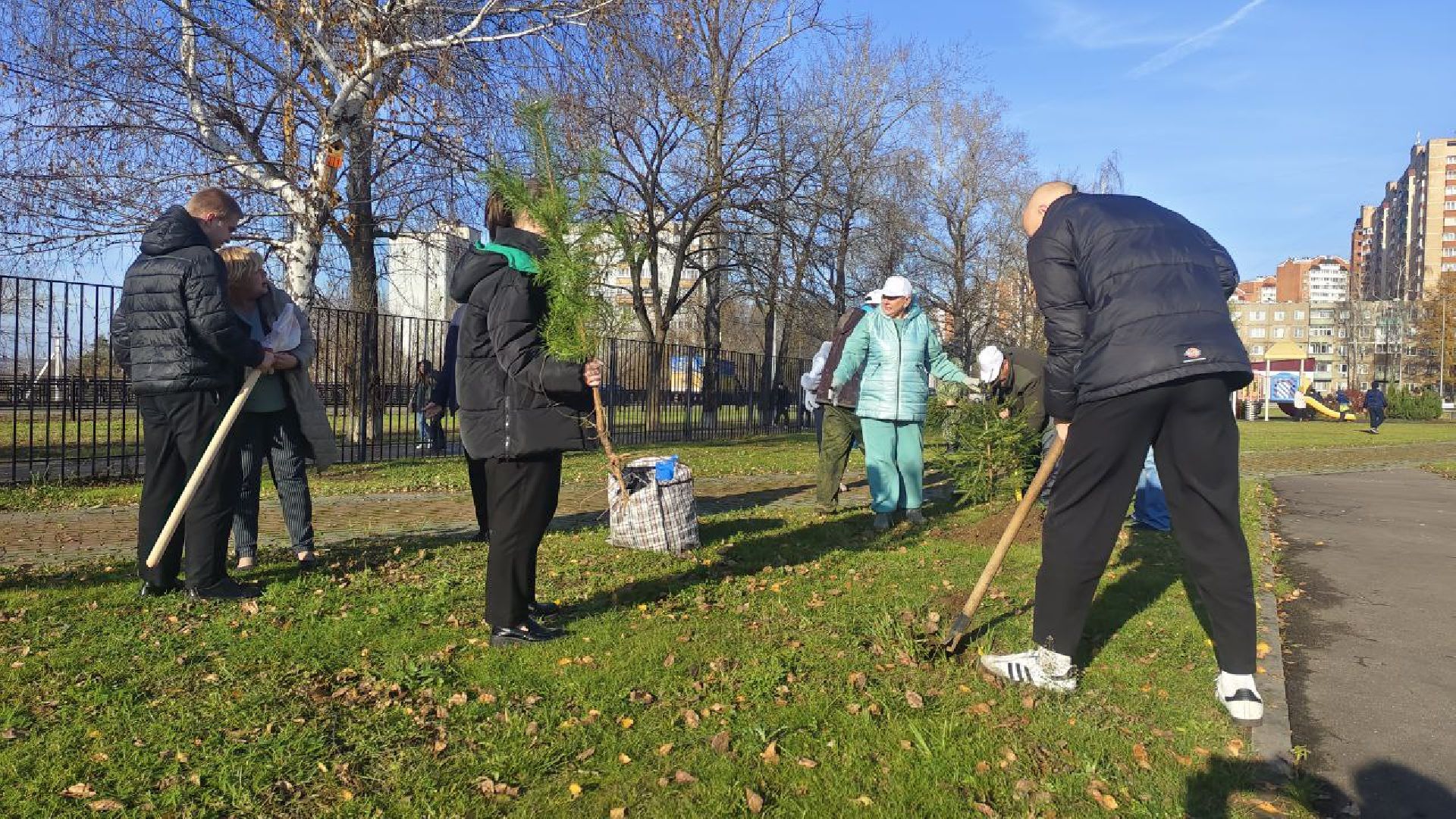 День народного единства, высадка елей, Домодедово,