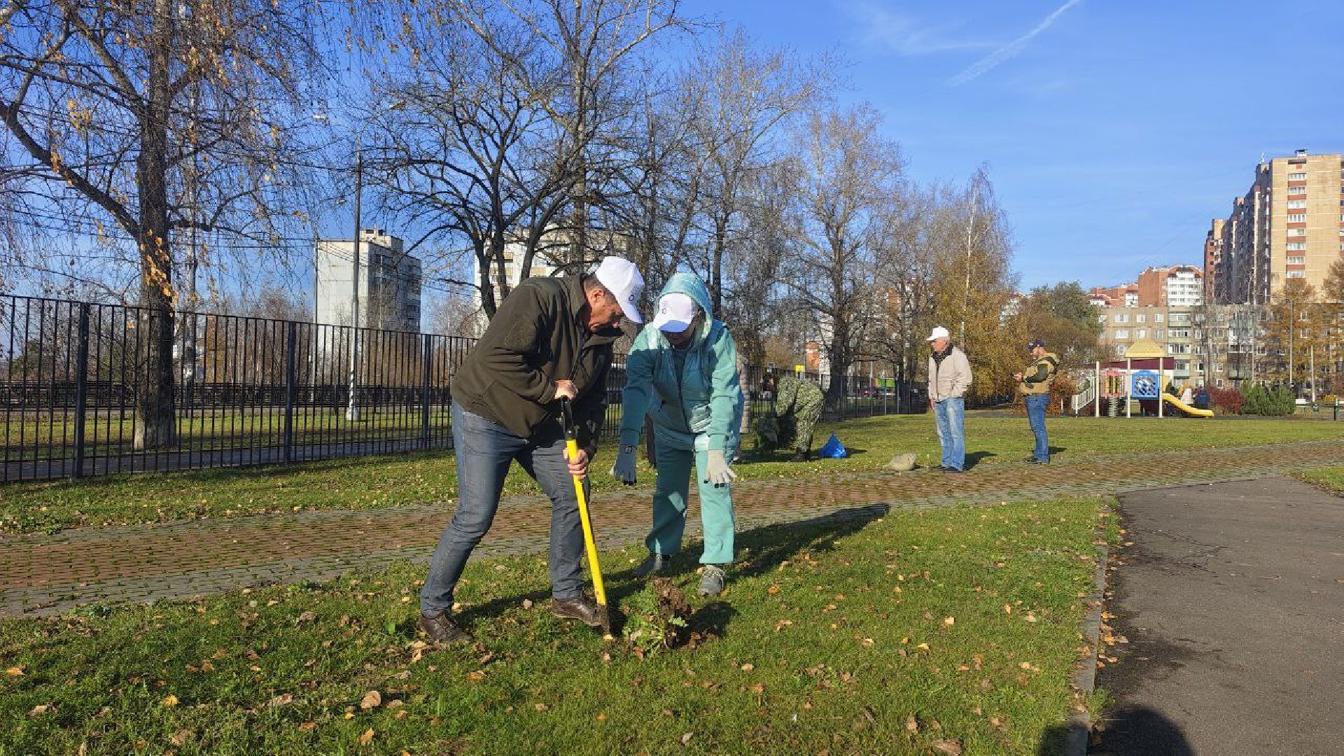 День народного единства, высадка елей, Домодедово,