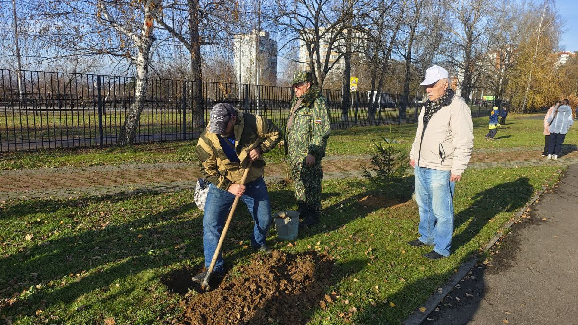 День народного единства, высадка елей, Домодедово,