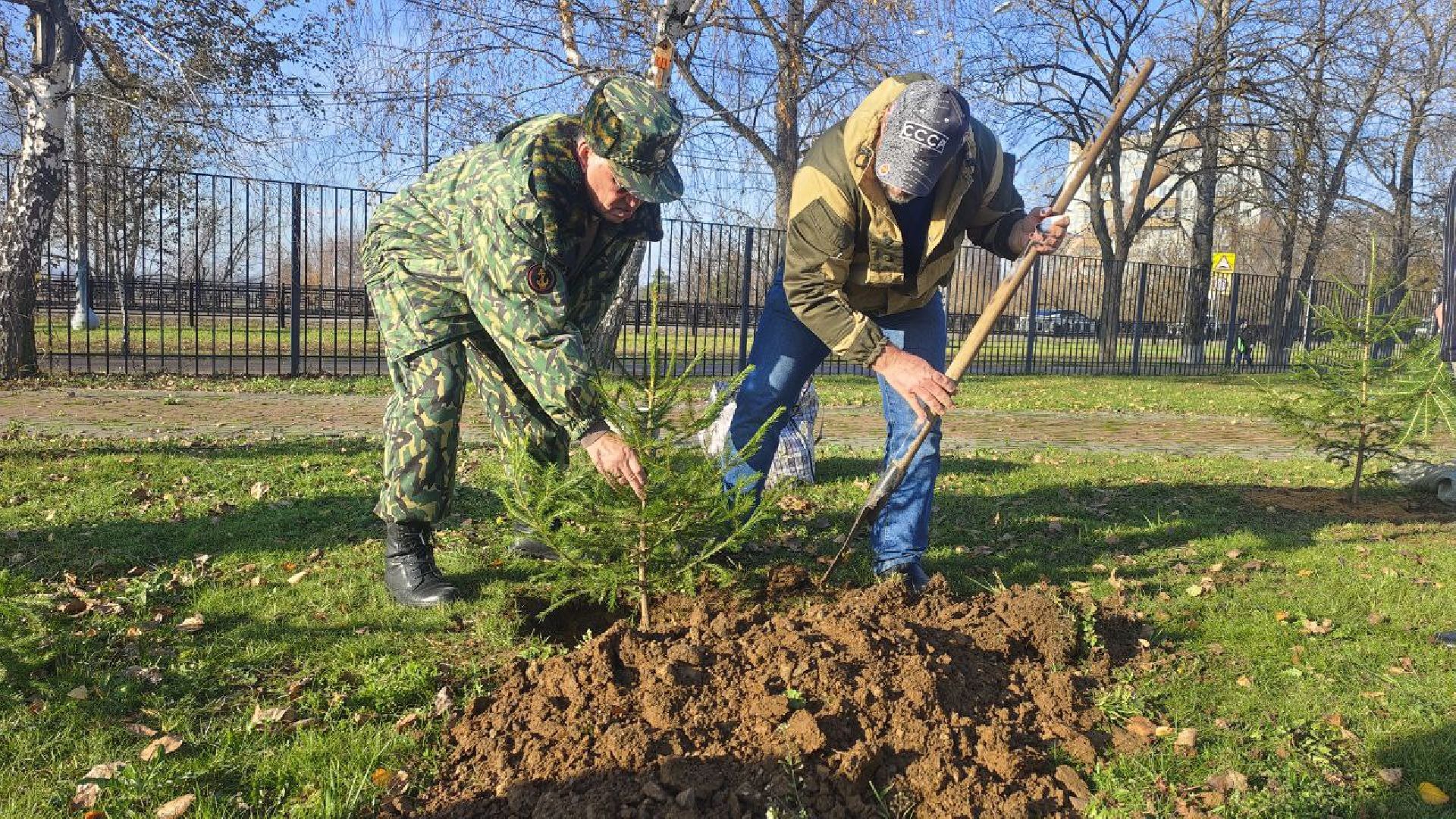 День народного единства, высадка елей, Домодедово,