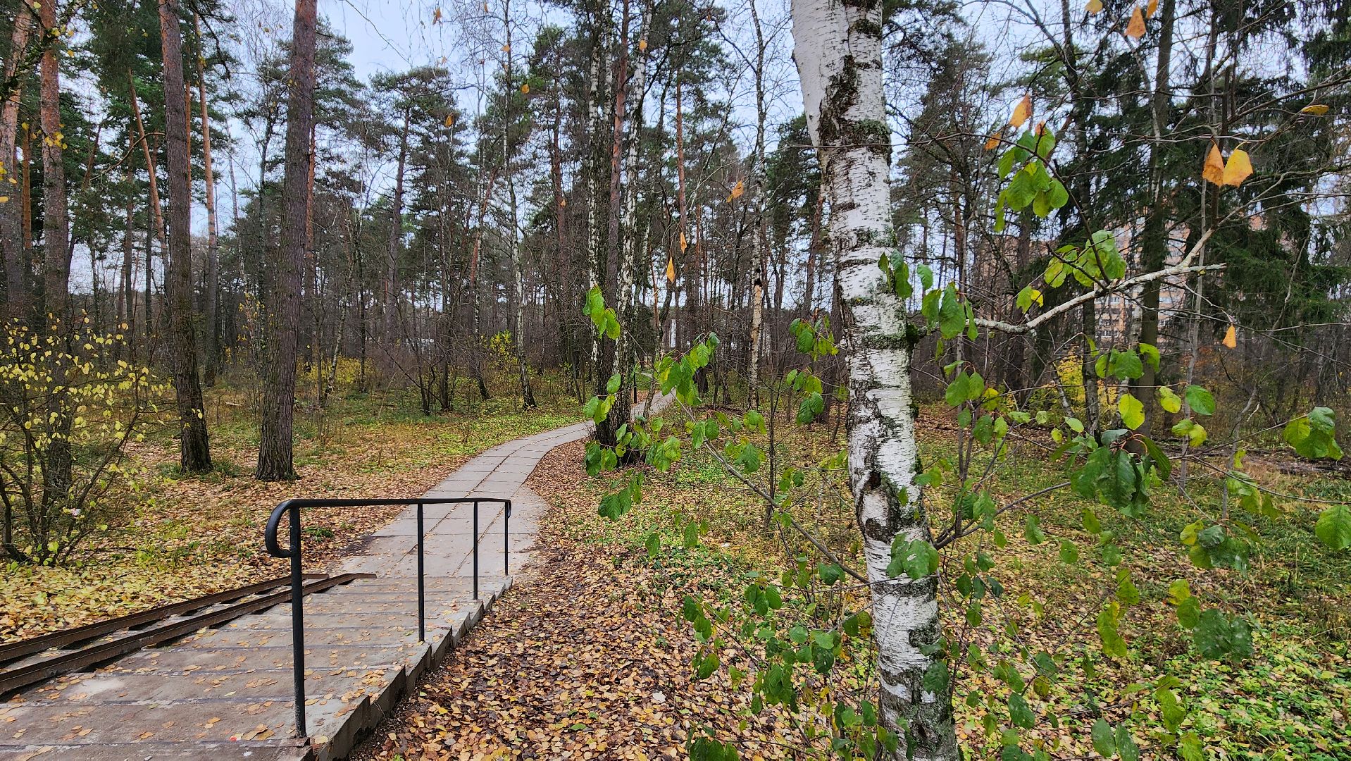 протвино, благоустройство, комфортная городская среда, парк, общественные пространства,