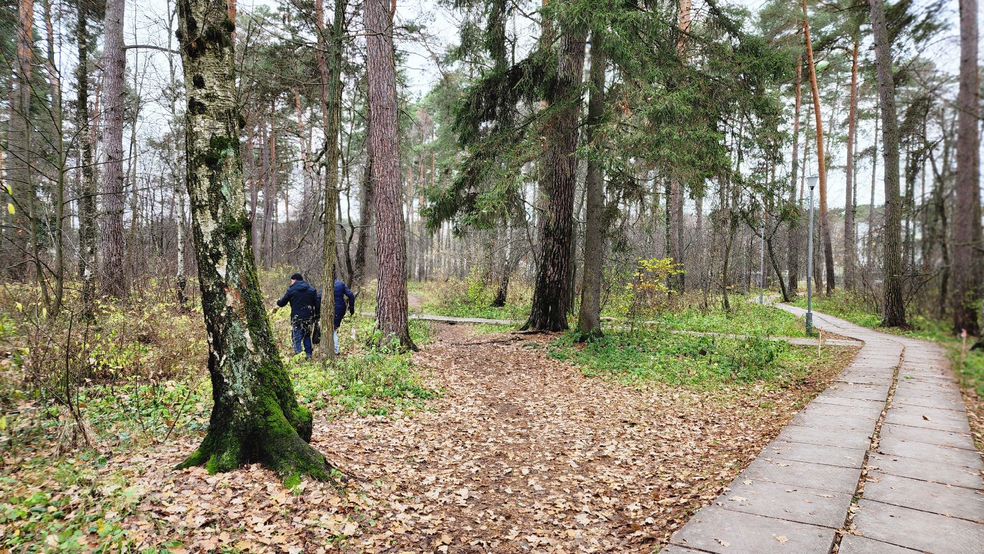 протвино, благоустройство, комфортная городская среда, парк, общественные пространства,