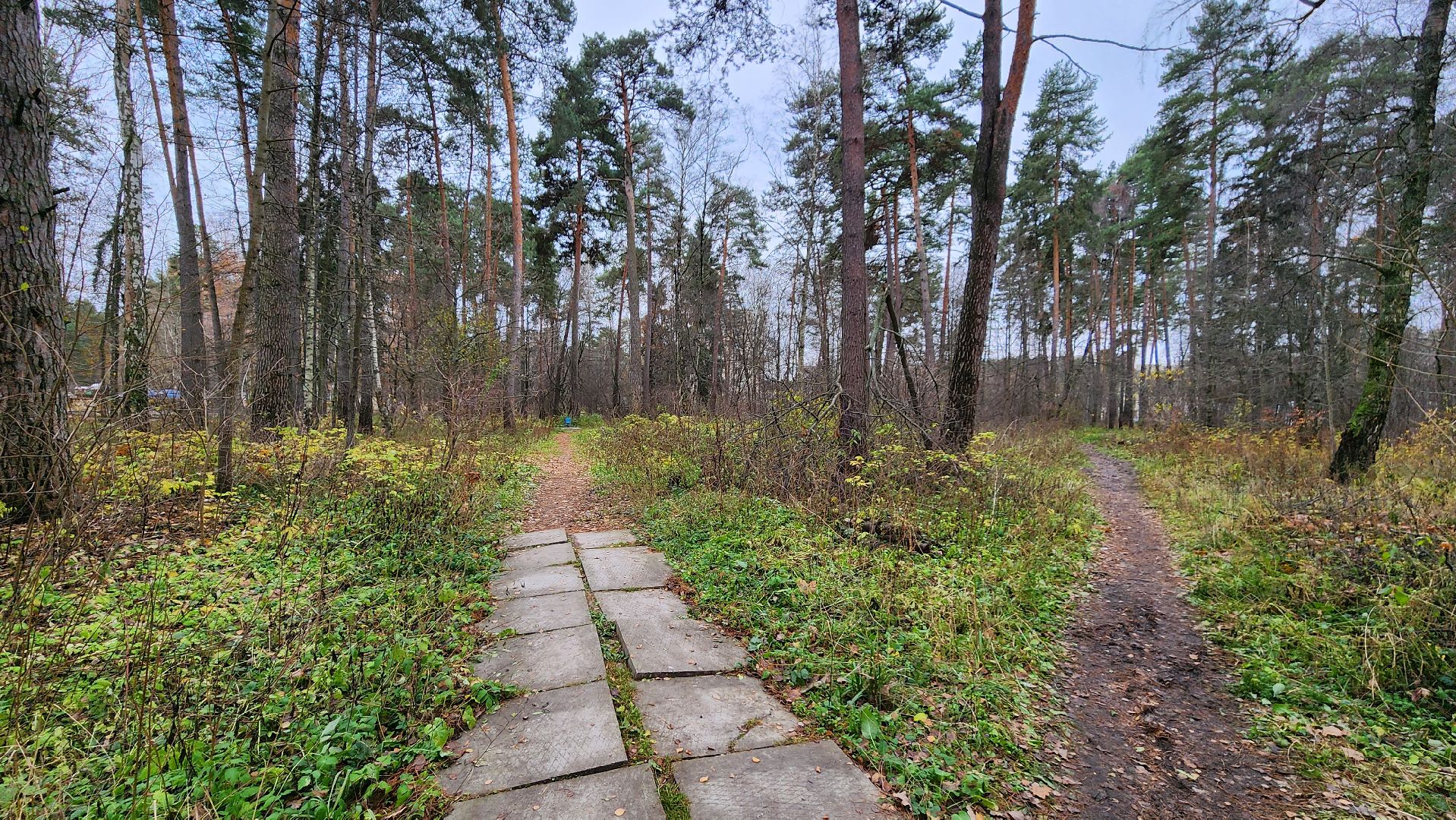 протвино, благоустройство, комфортная городская среда, парк, общественные пространства,