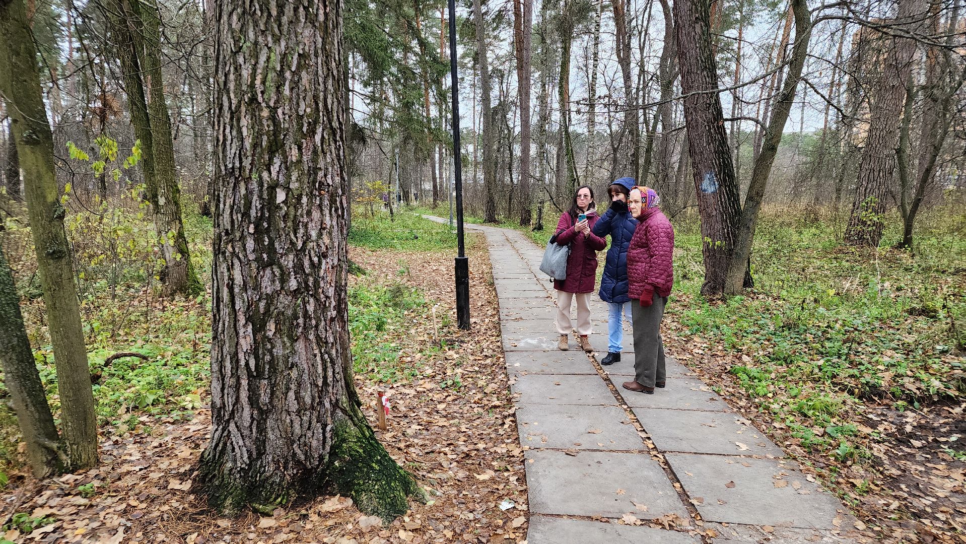 протвино, благоустройство, комфортная городская среда, парк, общественные пространства,