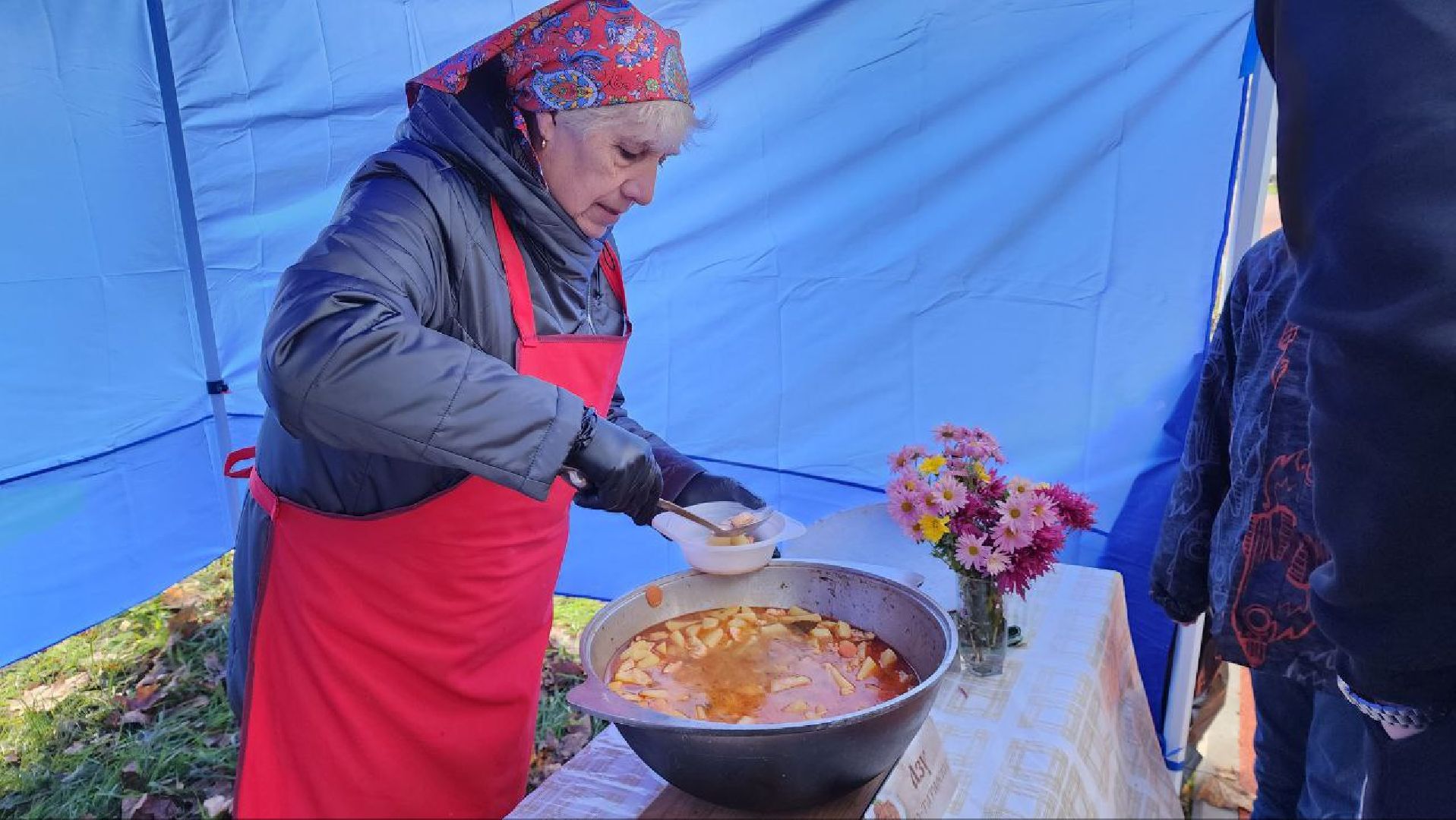 праздник, день народного единства, многонациональная страна, подмосковье, Лосино-Петровский,