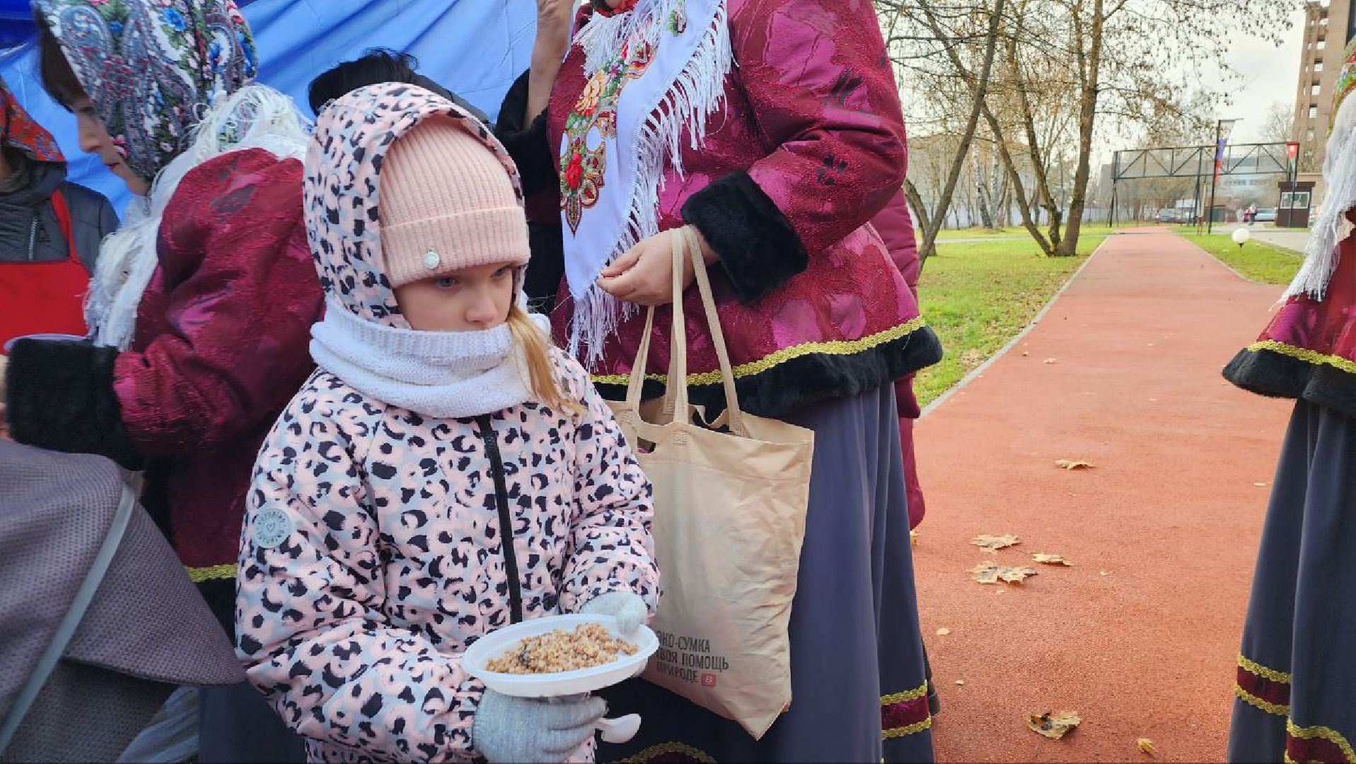 праздник, день народного единства, многонациональная страна, подмосковье, Лосино-Петровский,