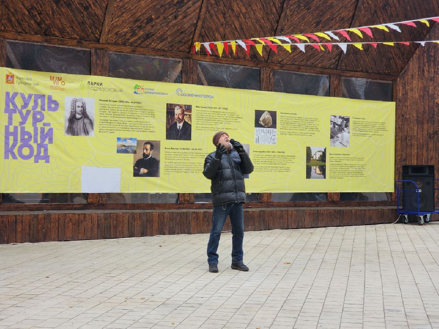 Солнечногорск, Праздник, день народного единства, парк, Жители,