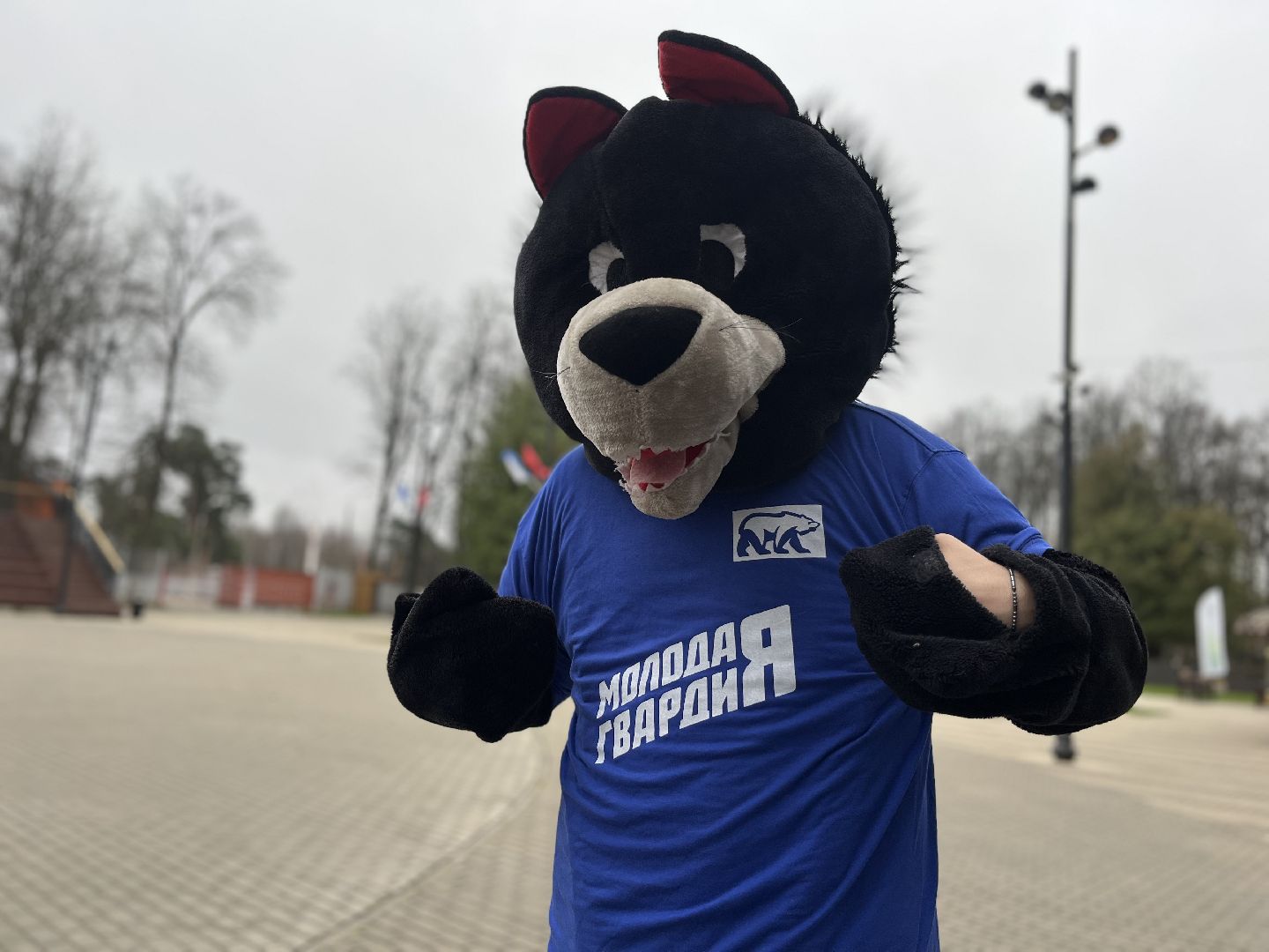 наро-фоминск, день народного единства, центральный парк, наро-фоминский городской округ, мы вместе, мгер, молодая гвардия подмосковья,