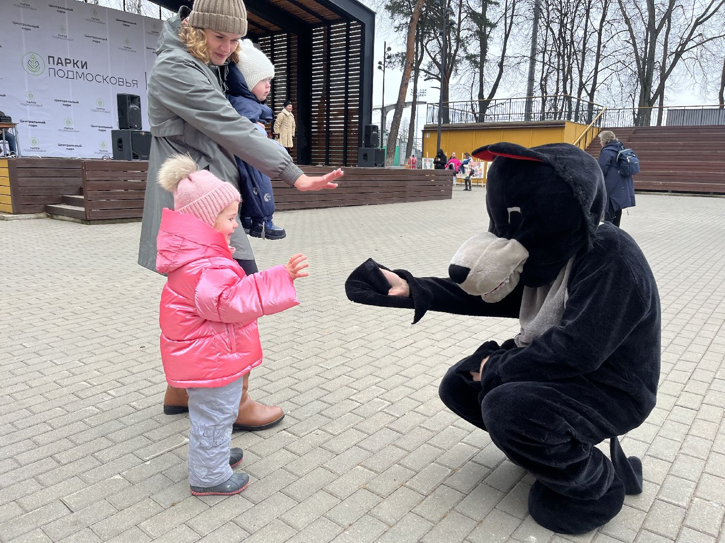 наро-фоминск, день народного единства, центральный парк, наро-фоминский городской округ, мы вместе, мгер, молодая гвардия подмосковья,