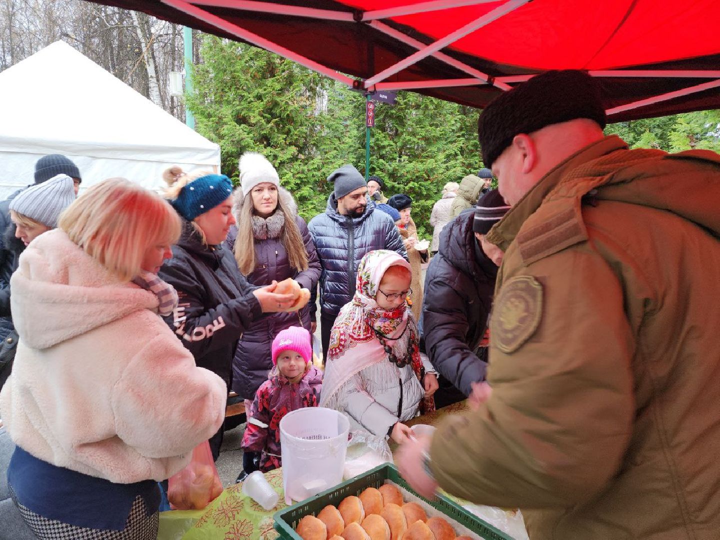 день народного единства, подмосковье, праздник единства, видное, ленинский округ,