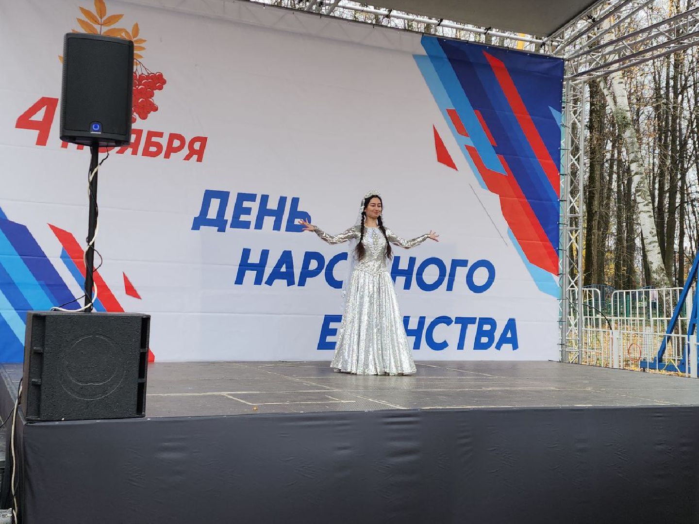 день народного единства, подмосковье, праздник единства, видное, ленинский округ,