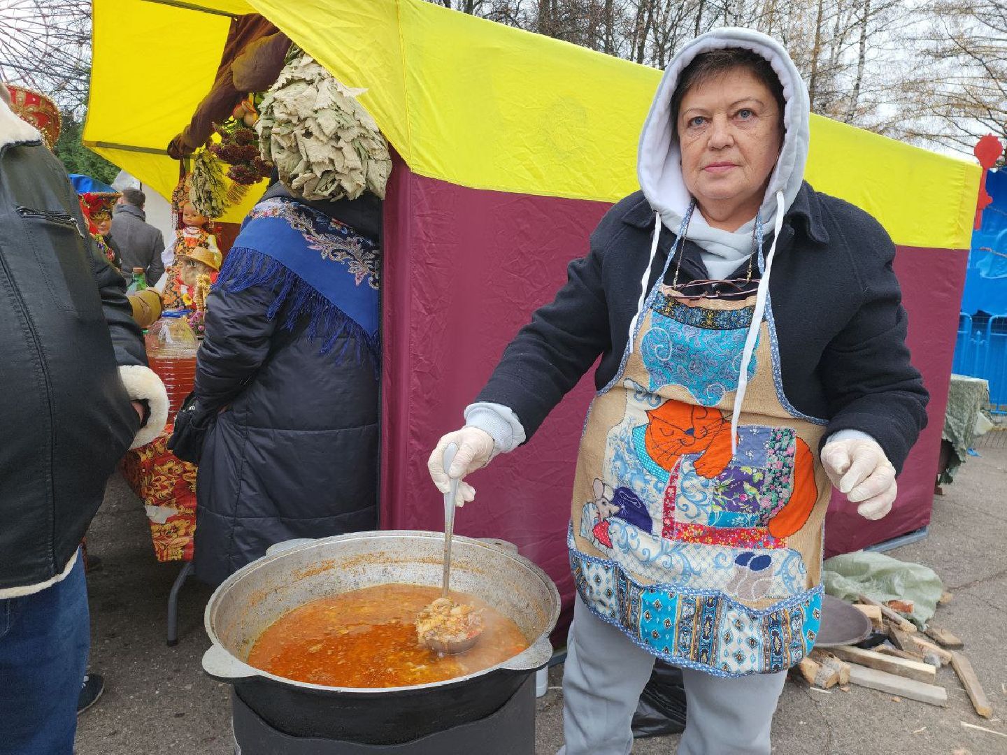 день народного единства, подмосковье, праздник единства, видное, ленинский округ,