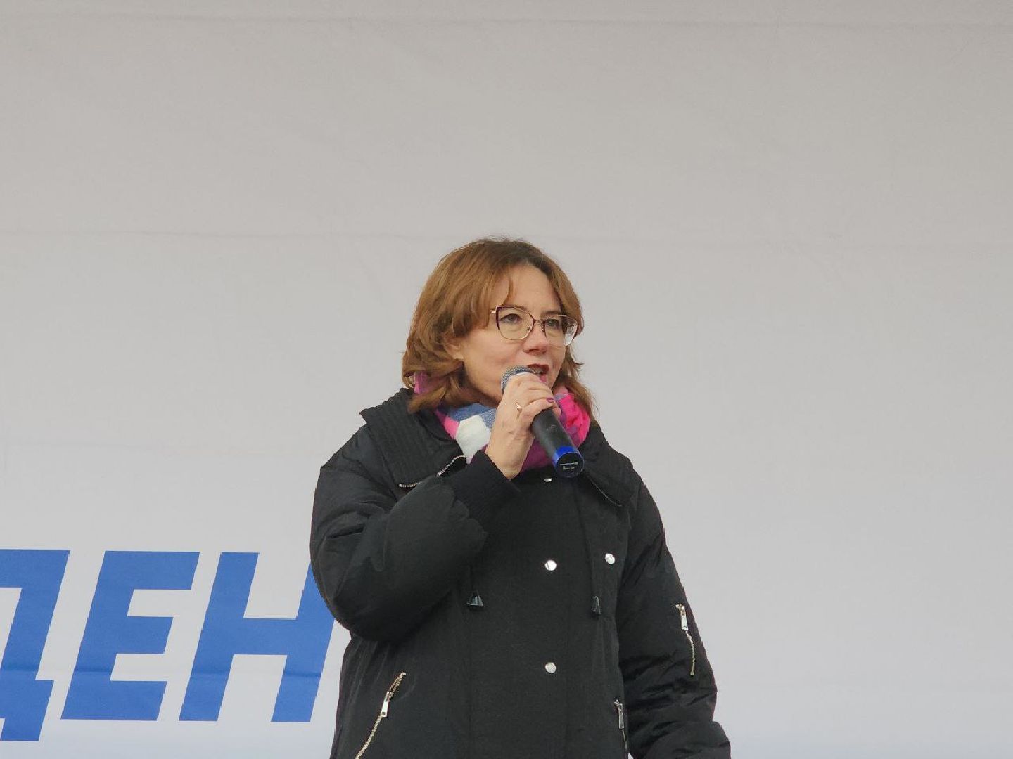 день народного единства, подмосковье, праздник единства, видное, ленинский округ,