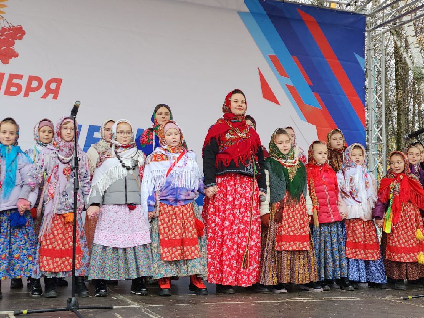 день народного единства, подмосковье, праздник единства, видное, ленинский округ,