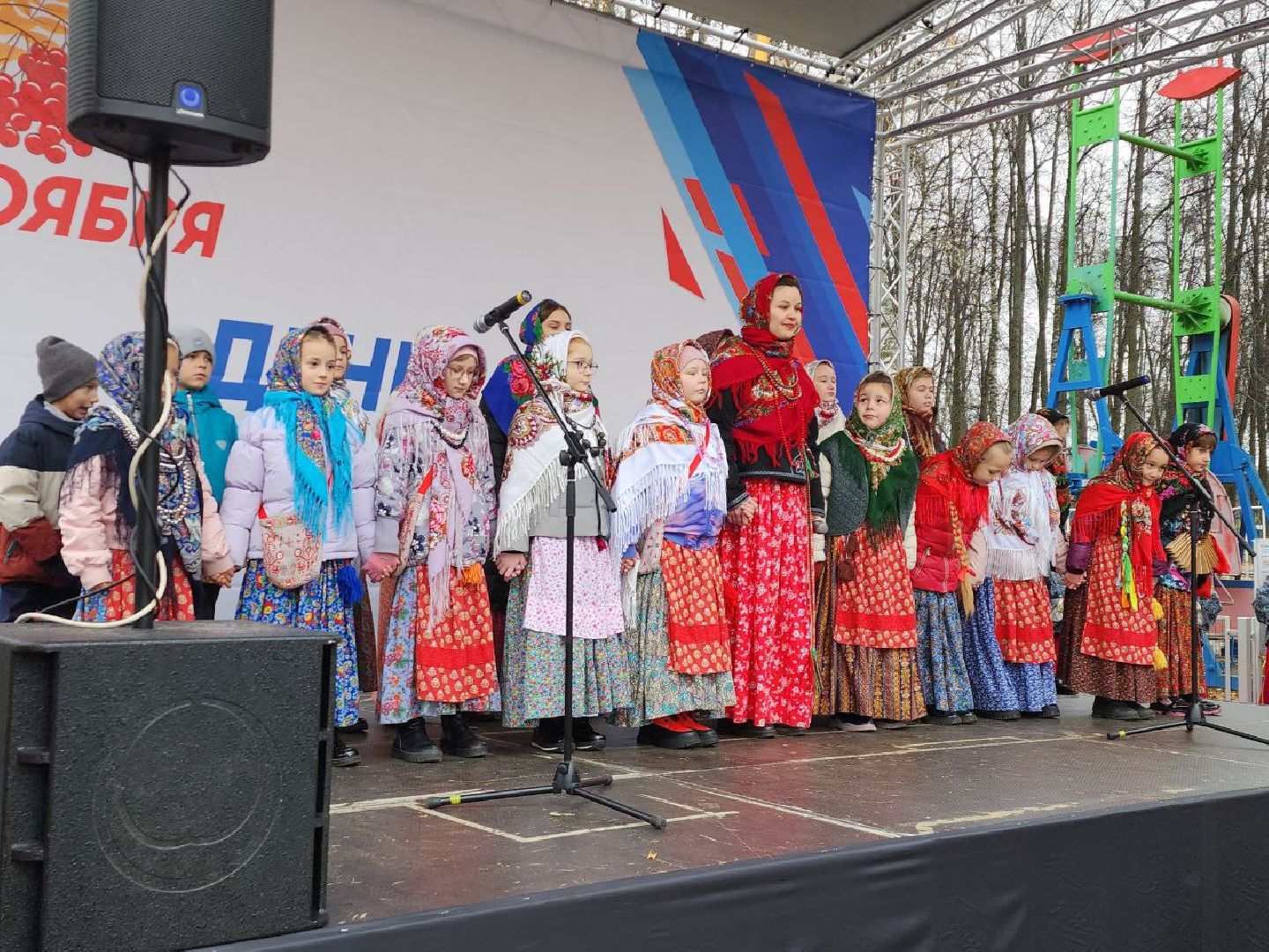 день народного единства, подмосковье, праздник единства, видное, ленинский округ,