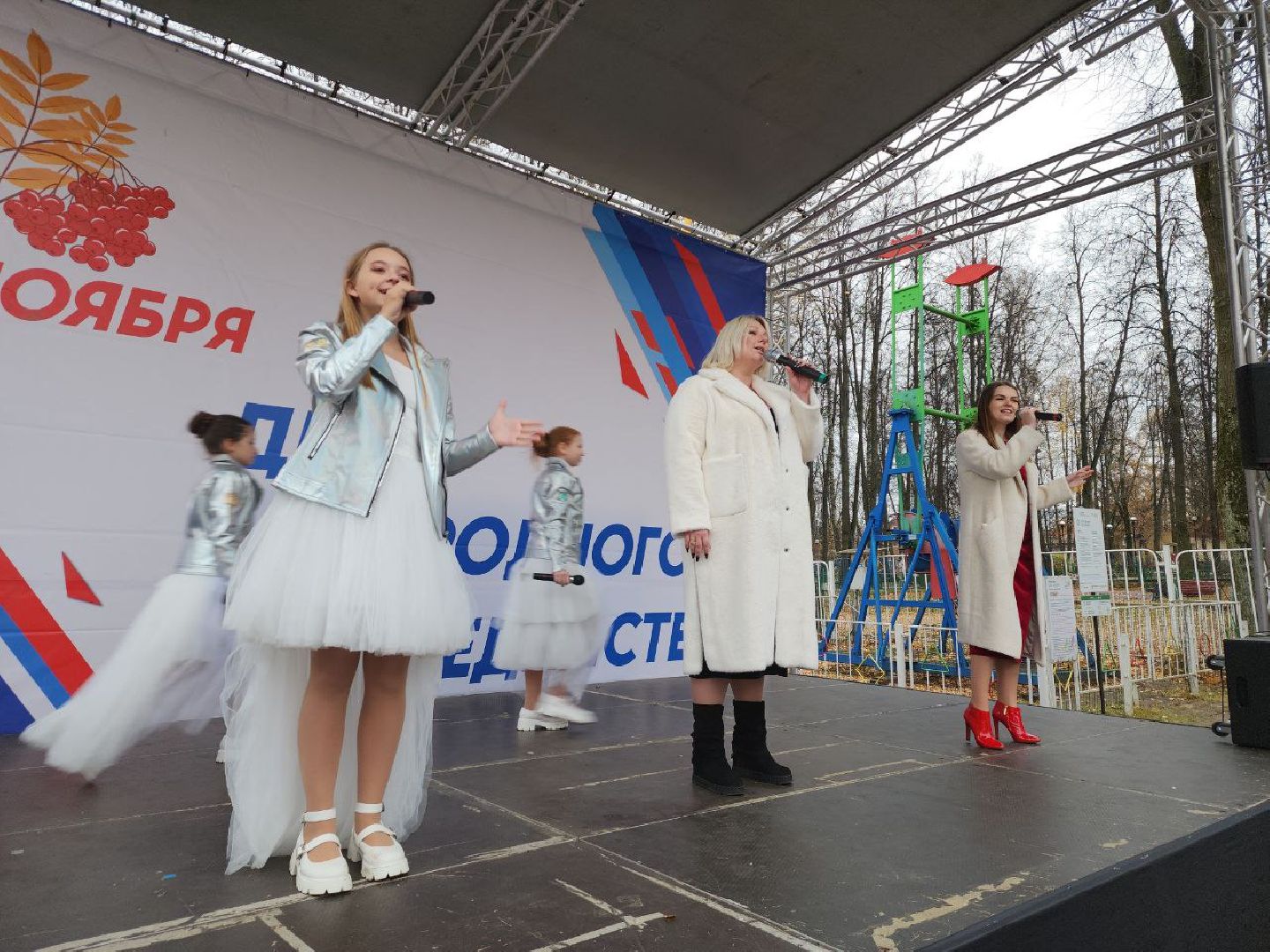 день народного единства, подмосковье, праздник единства, видное, ленинский округ,