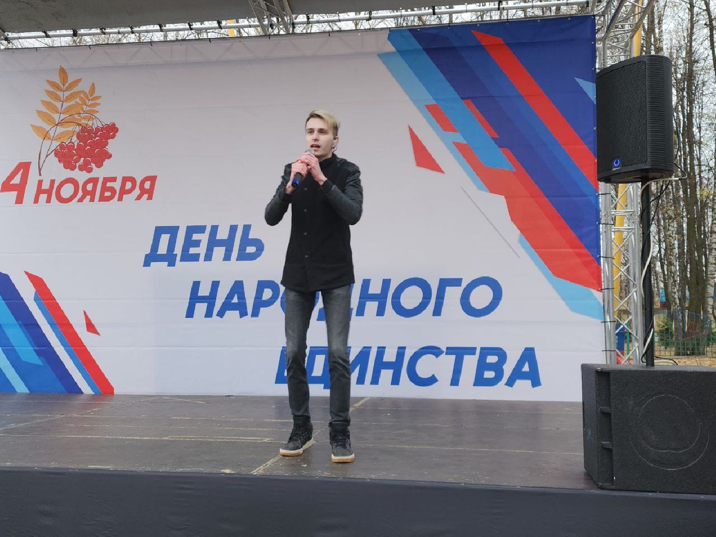 день народного единства, подмосковье, праздник единства, видное, ленинский округ,