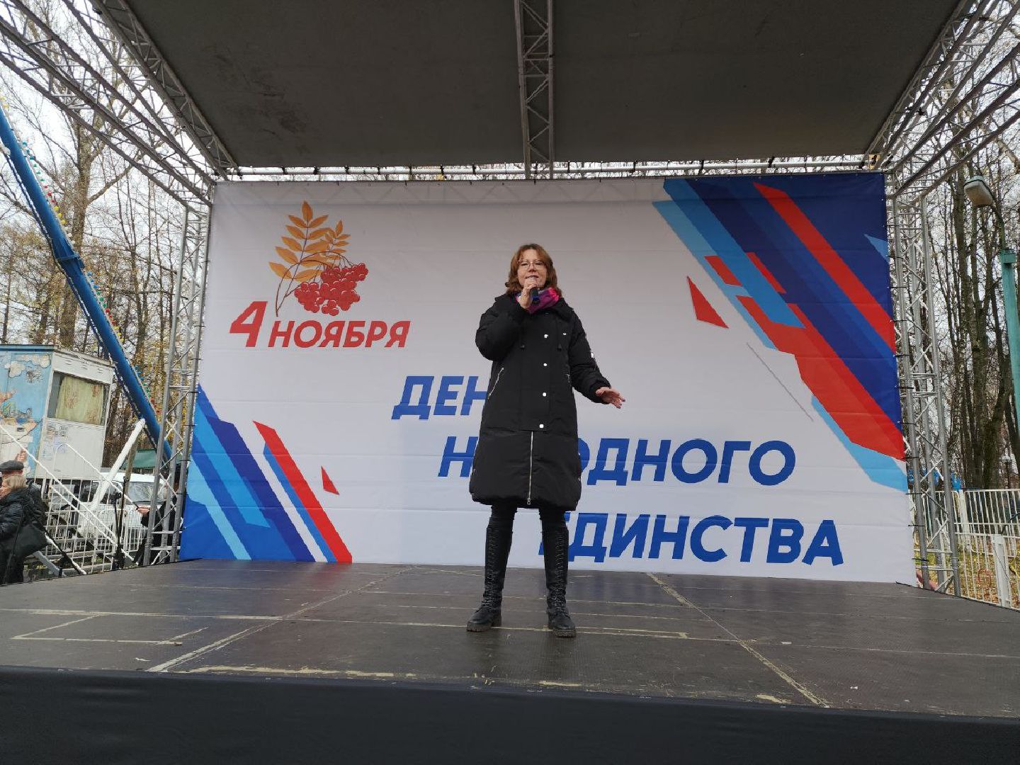 день народного единства, подмосковье, праздник единства, видное, ленинский округ,