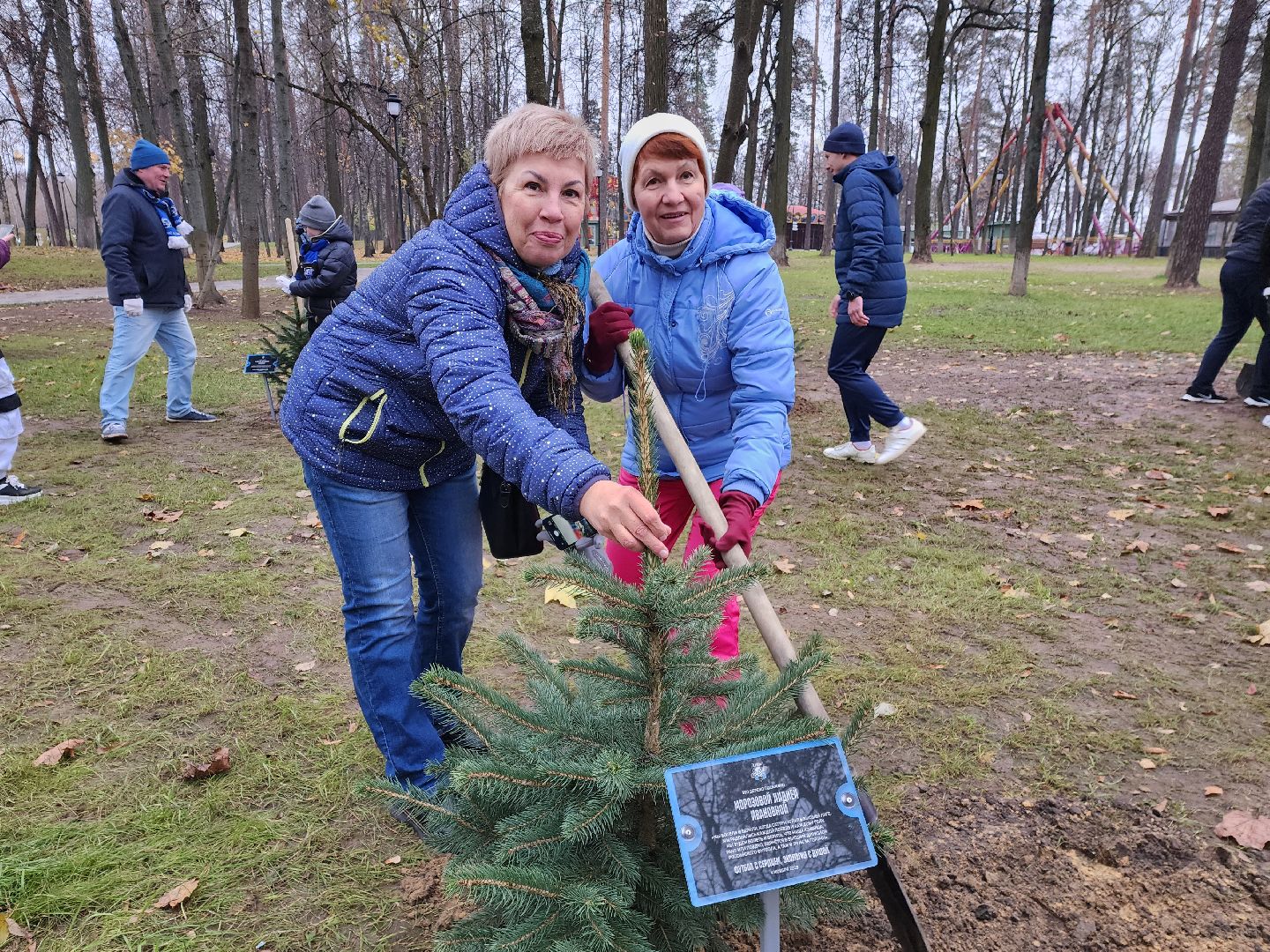 раменское, экология, экологическая акция, аллея из сосен в парке,