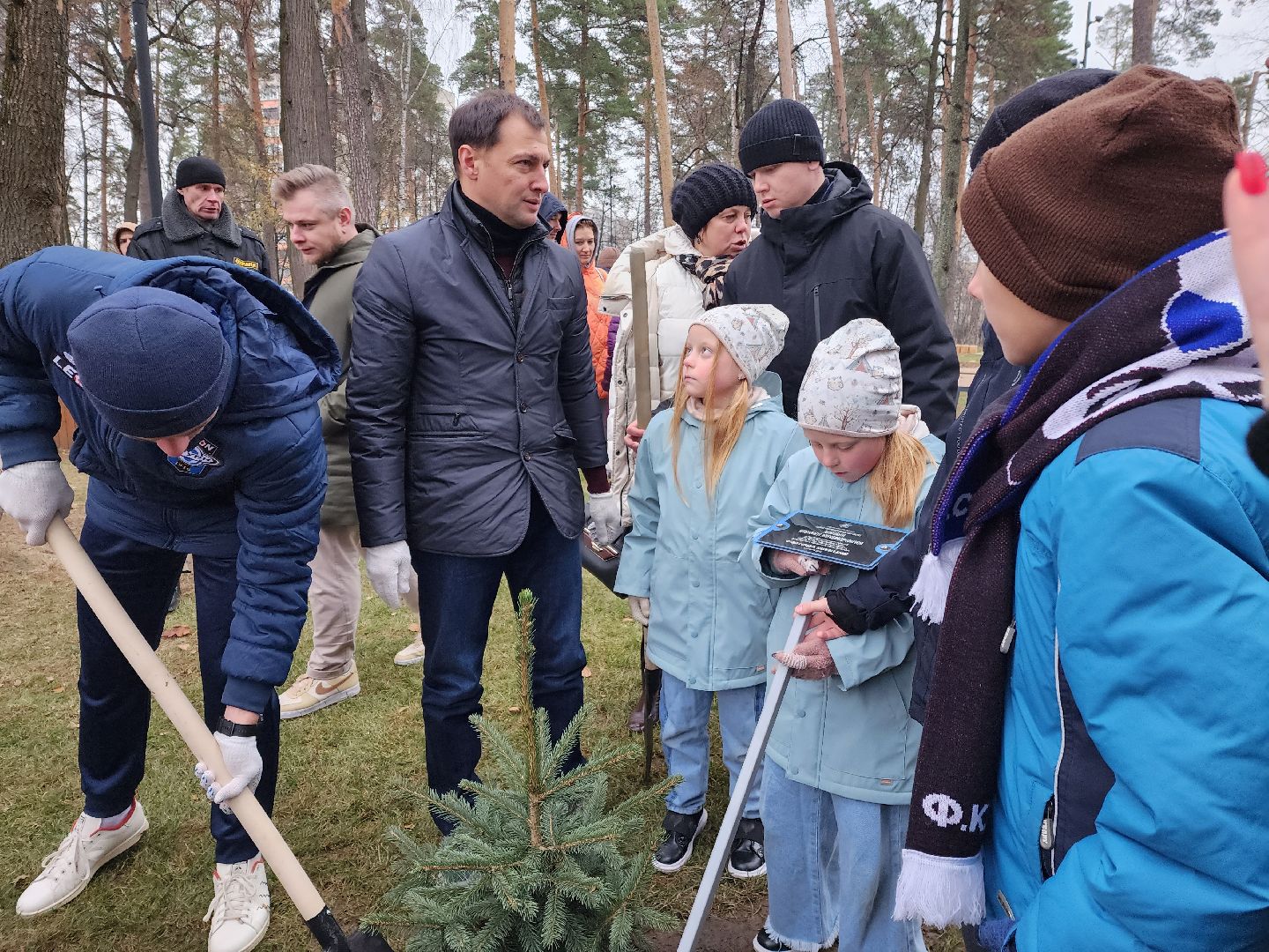 раменское, экология, экологическая акция, аллея из сосен в парке,