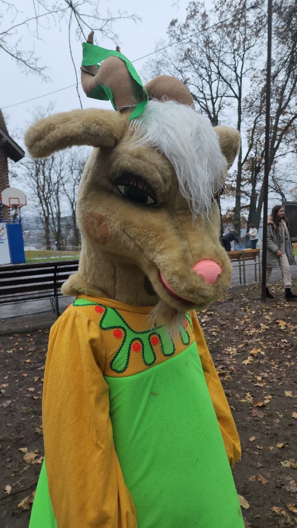 день народного единства, руза, рузский городской округ, московская область, подмосковье, парки подмосковья, праздник,