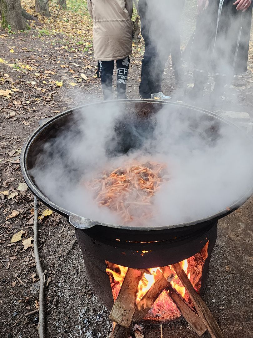 день народного единства, руза, рузский городской округ, московская область, подмосковье, парки подмосковья, праздник,