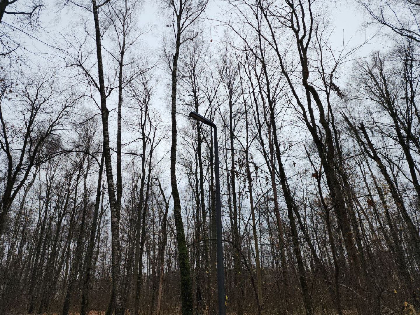 парки подмосковья, благоустройство, перемены, точка притяжения,