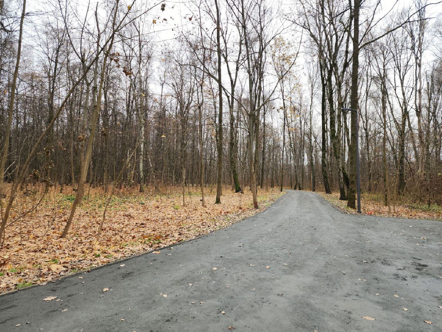 парки подмосковья, благоустройство, перемены, точка притяжения,