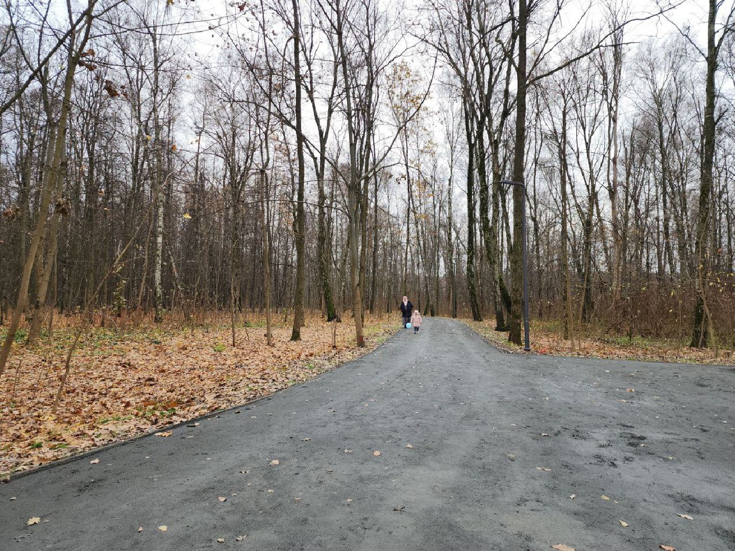 парки подмосковья, благоустройство, перемены, точка притяжения,