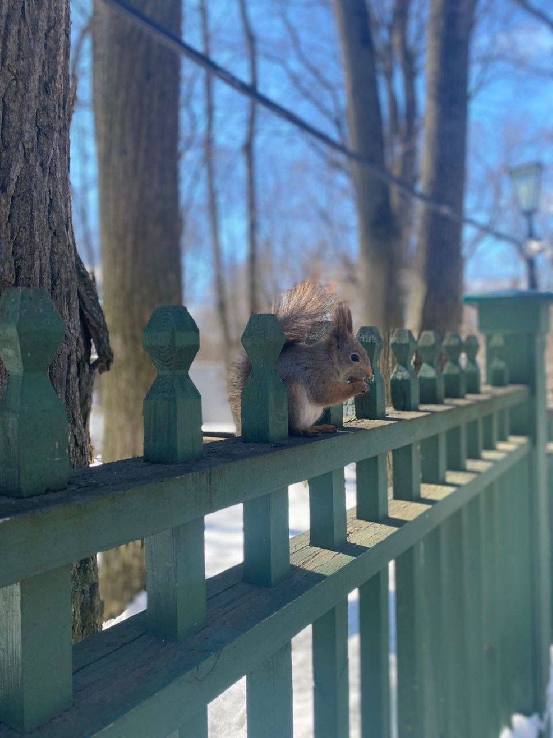Подольск Общество