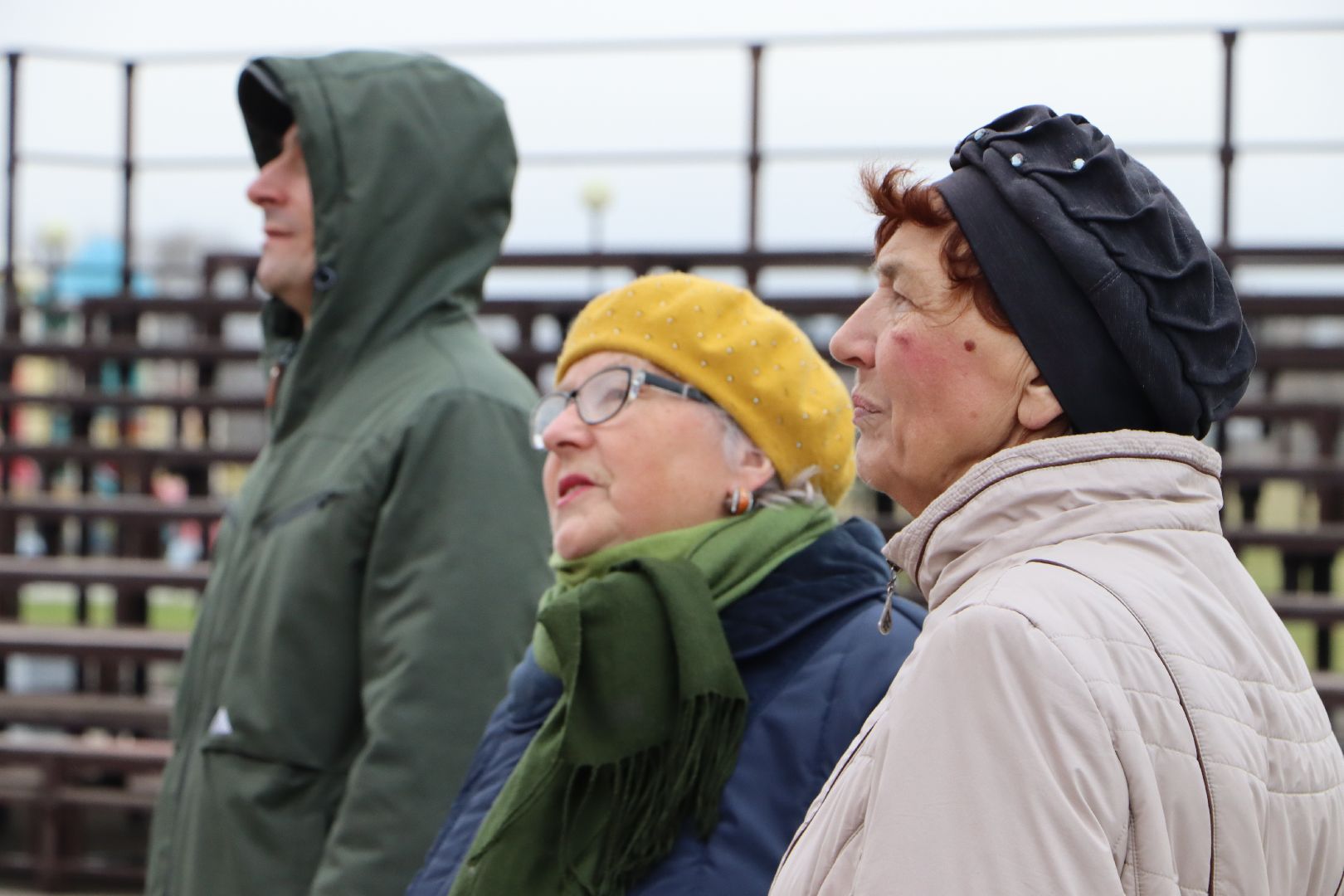 Серебряные Пруды, Парк Серебряный, день народного единства, Симфония народов,