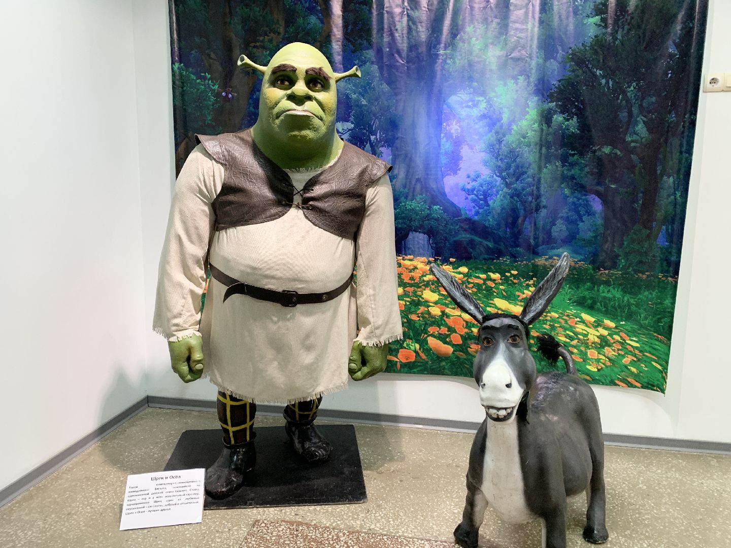 Балашиха, Подмосковье, День народного единства, Ночь искусств, Балашихинская картинная галерея, Выставки,