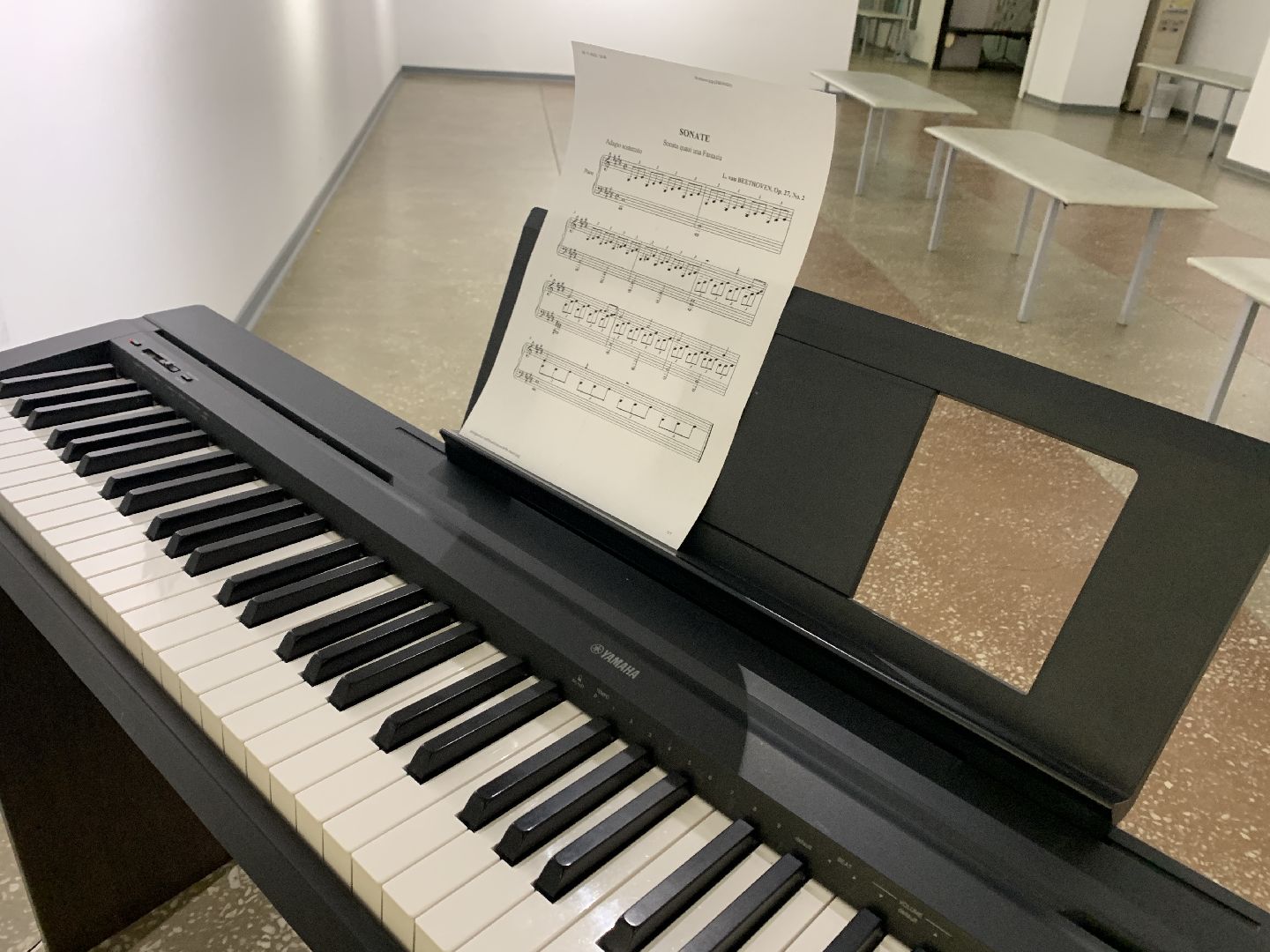 Балашиха, Подмосковье, День народного единства, Ночь искусств, Балашихинская картинная галерея, Выставки,