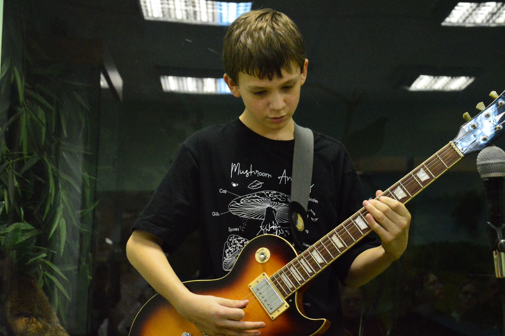 шатура, краеведческий музей, барды, выступление, ночь искусств, городской округ культура,